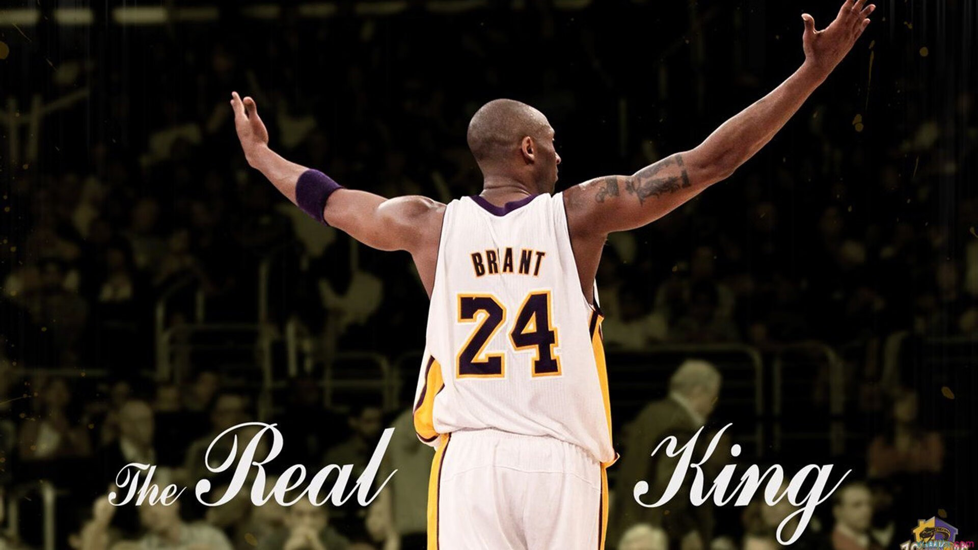 查尔斯·勒克莱尔在意大利大奖赛中夺冠，查尔斯莱特勒