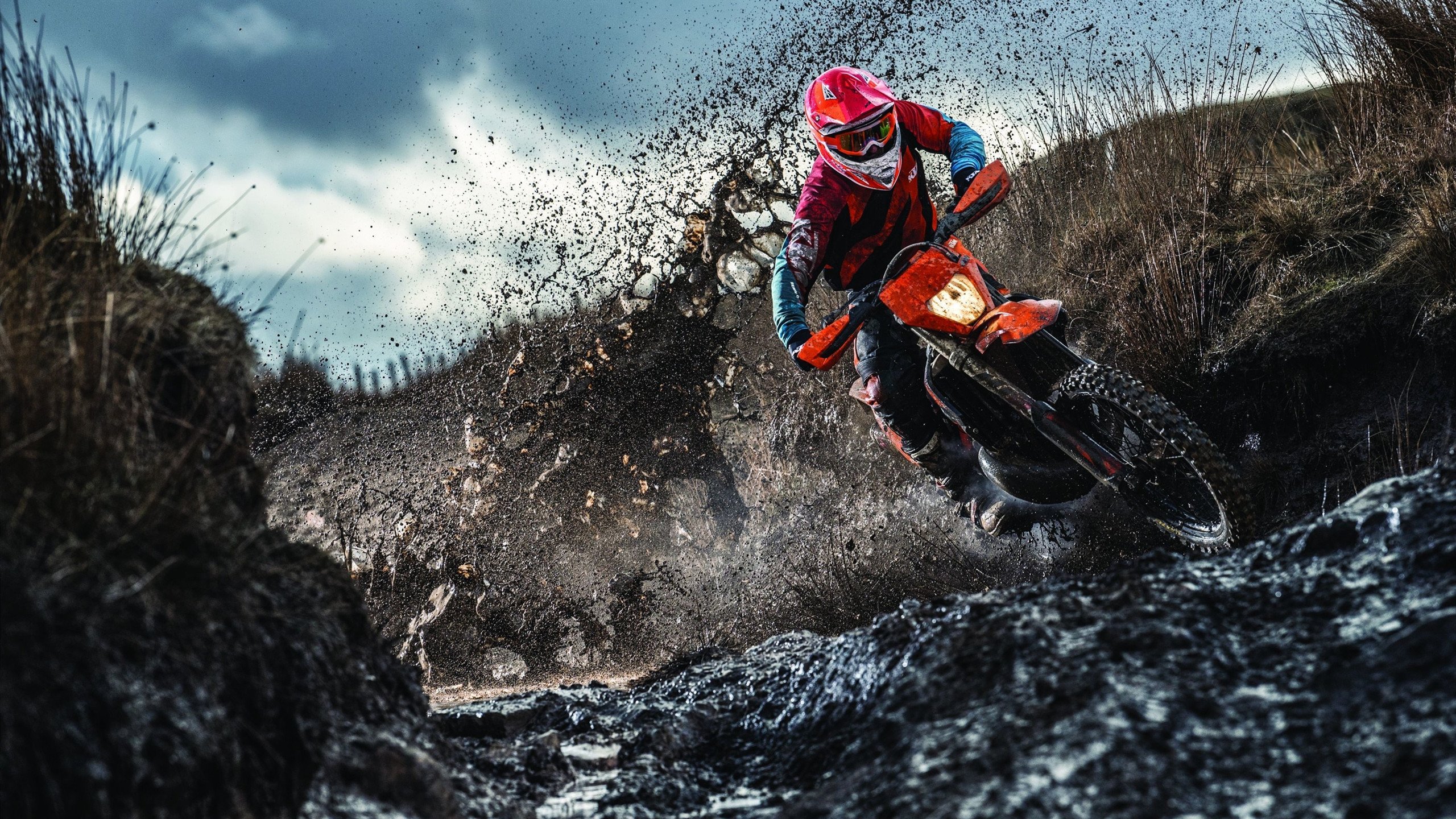 “绿色节能场馆”示范工程在全国铺开，行业绿色低碳转型持续推进